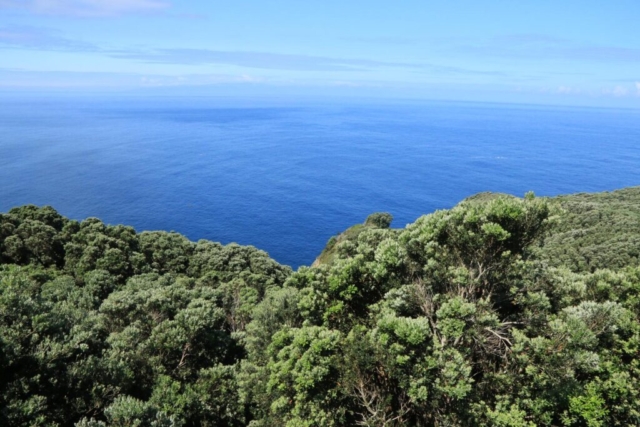 Insel Terceira